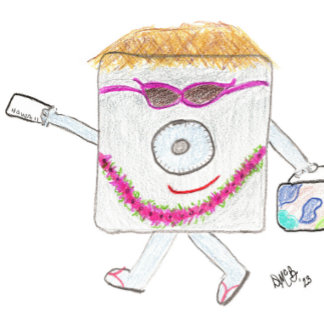 Cartão de Viagem Seguro