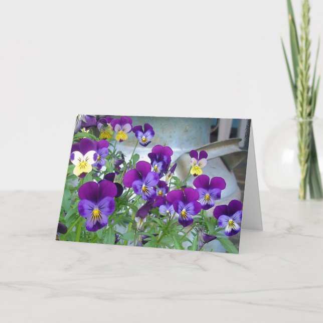 Cartão de Violetas de LeAnn (Frente)