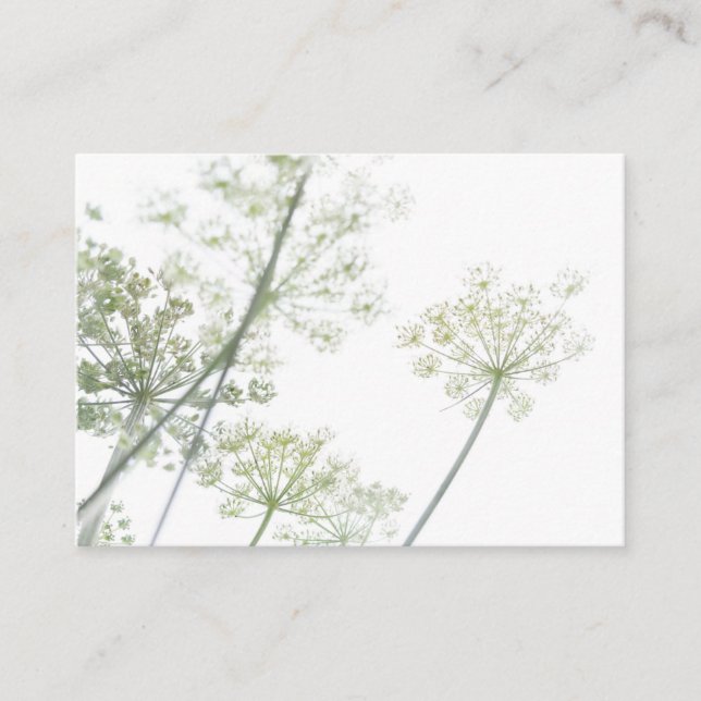 Cartão de Visita (Frente)