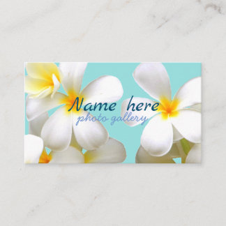 Cartão De Visita 米スタンダード 8.89cm x 5.08cm名刺 名刺