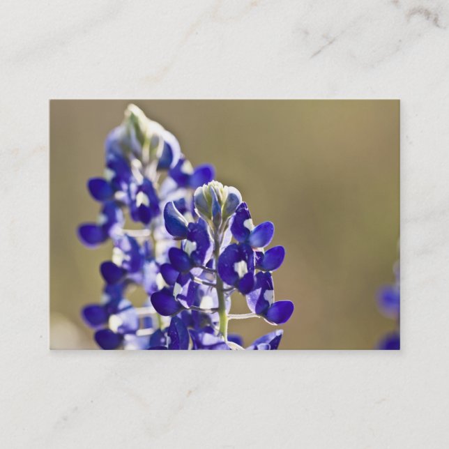 Cartão De Visita 2 são melhores de um (Frente)