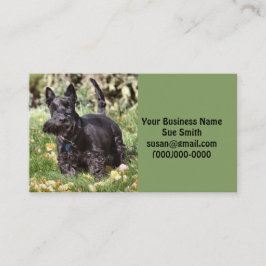 Cartão De Visita Ach