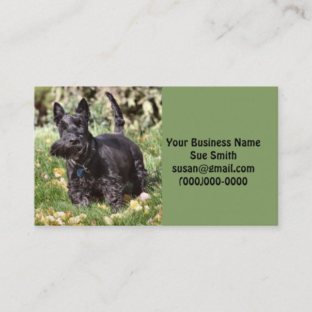 Cartão De Visita Ach (Frente)