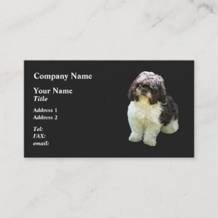 Cartão De Visita Adorável cachorrinho Shih Tzu