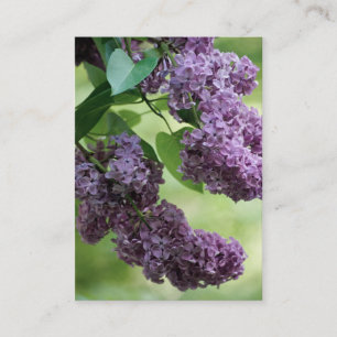 Cartão De Visita Adorável Primavera Mini Impressão