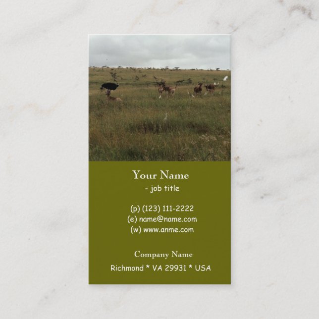 Cartão De Visita África Animais selvagens do Quénia (Frente)