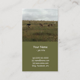 Cartão De Visita África Animais selvagens do Quénia