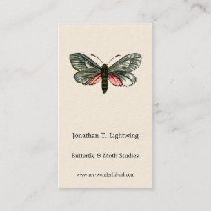 Cartão De Visita Aglaope infausta - Folha de Amêndoa-Tree Skeletoni