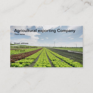 Cartão de visita agrícola da empresa de exporta