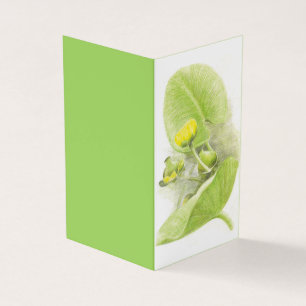 Cartão De Visita Água amarela esboço do lápis Lily