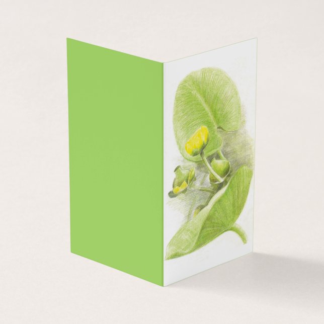 Cartão De Visita Água amarela esboço do lápis Lily (Exterior)