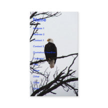 Águia Bald Americano