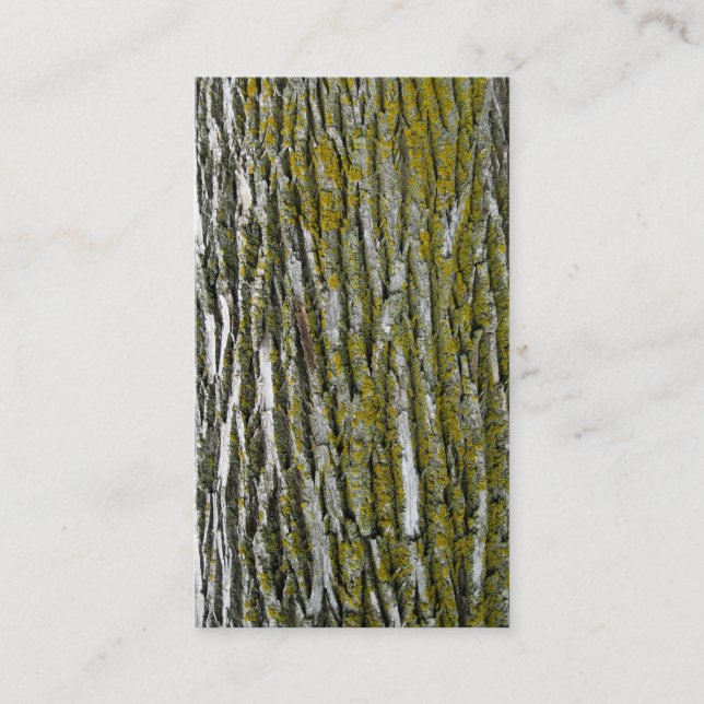 Cartão De Visita Ajustadores da árvore que ajardinam a remoção do (Frente)