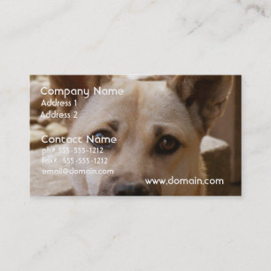 Cartão De Visita Akita doce