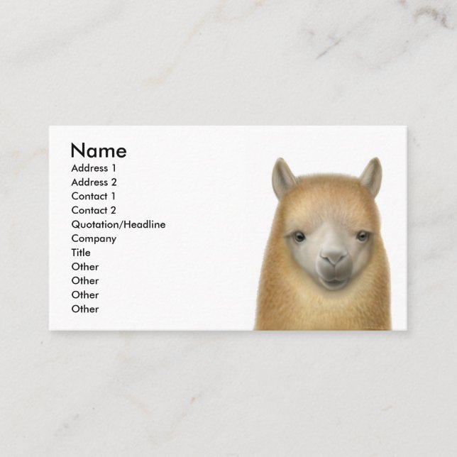 Cartão de visita alerta da alpaca (Frente)