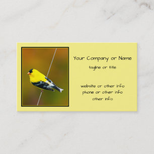 Cartão De Visita American Goldfinch - Fotografia original