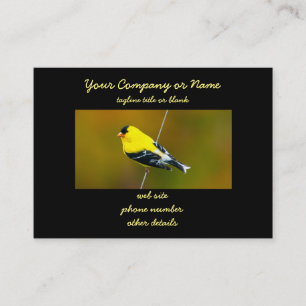 Cartão De Visita American Goldfinch - Fotografia original