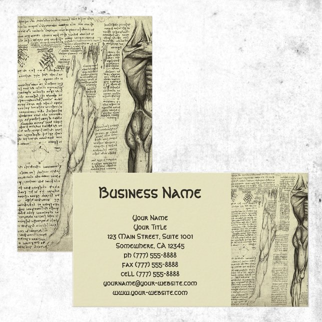 Cartão De Visita Anatomia muscular masculina Esboço de Leonardo da  (Criador carregado)