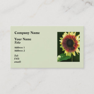 Cartão De Visita Anel do girassol do close up do fogo