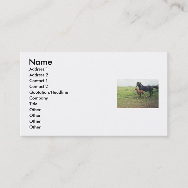 Cartão De Visita Angel e Spot (Frente)