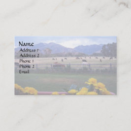 Cartão De Visita Ângus na pastagem