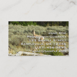 Cartão De Visita Antílope americano no Parque Nacional Grand Teton