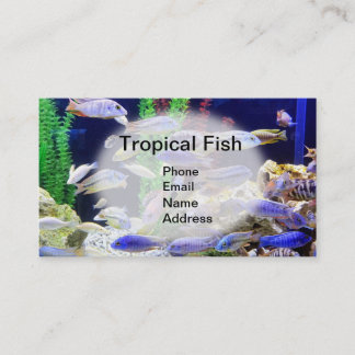 Cartão De Visita Aquário com os peixes tropicais bonitos