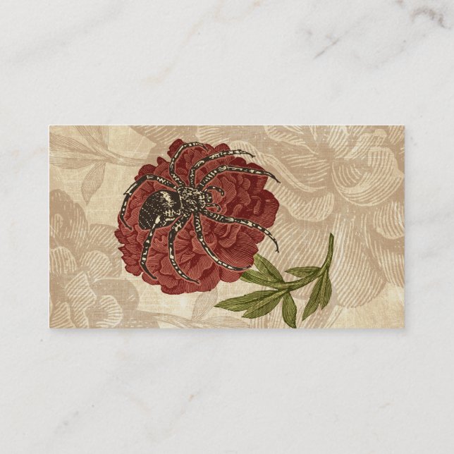 Cartão De Visita Aranha Na Flor (Verso)