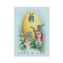 Arte bonito do vintage - Serenade do coelho,