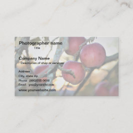 Cartão De Visita Artist/Photographer/Digital Art