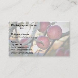 Cartão De Visita Artista/Fotógrafo/Arte Digital