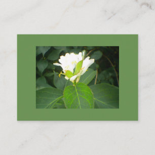 Cartão De Visita Árvore de Honeysuckle