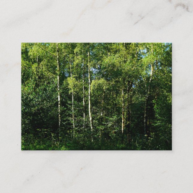 Cartão De Visita Árvores de passarinho prateado, Mini foto (Frente)