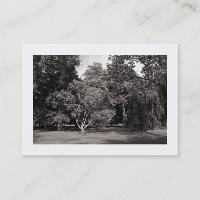 Cartão De Visita Árvores, Parque Bute, Cardiff - BW Quente (Bordado (Frente)