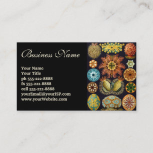 Cartão De Visita Ascidiae por Ernst Haeckel, Animais Marinhos Vinta