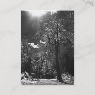 Cartão De Visita ATC iluminado da árvore