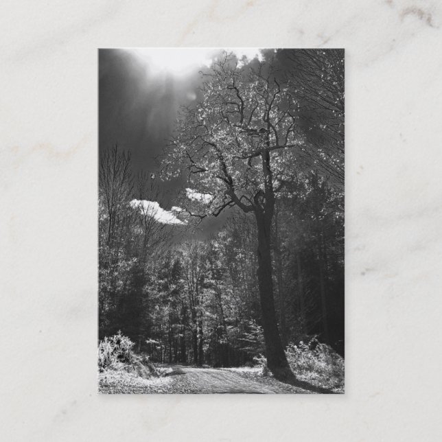 Cartão De Visita ATC iluminado da árvore (Frente)