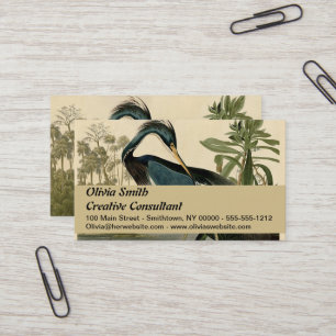 Cartão De Visita Audubon Louisiana Heron