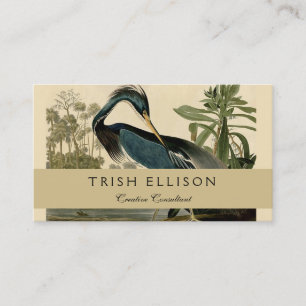 Cartão De Visita Audubon Louisiana Heron
