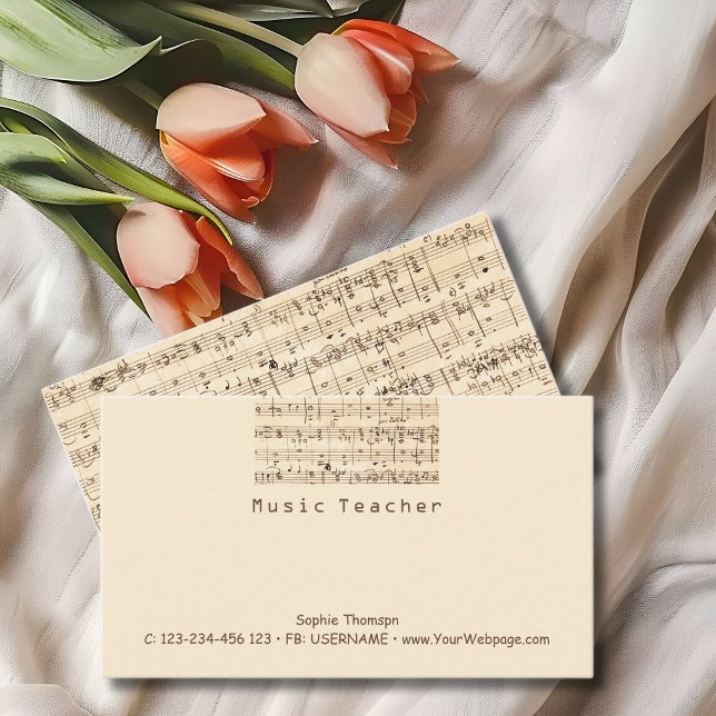 Cartão De Visita Aulas particulares para professores de música (Criador carregado)