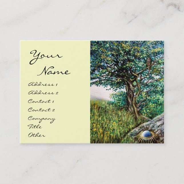 Cartão De Visita AURORA cinza verde-azul vermelho-vermelho-branco (Frente)