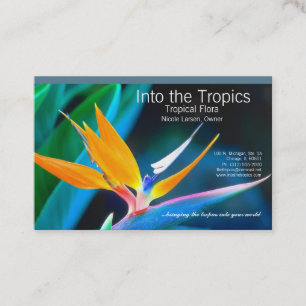 cartão de visita ave-do-paraíso