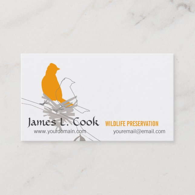 Cartão De Visita Aves da Natureza Selvagem (Frente)