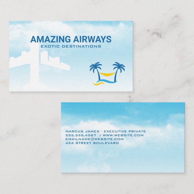 Cartão De Visita Avião nas nuvens | Logotipo tropical (Frente/Verso)