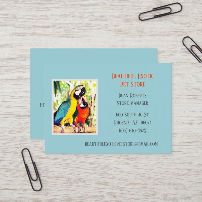 Cartão De Visita Azul-claro Veterinário/Animais Conservas de Pet (Frente/Verso In Situ)