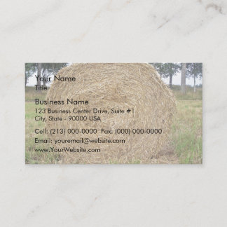 Cartão De Visita Balão de couro num campo