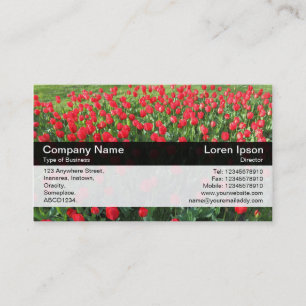 Cartão De Visita Banda a cores - Preto - Cama de Tulipas Vermelhas 