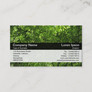 Cartão De Visita Banda a cores - Preto - Cópia da Madeira