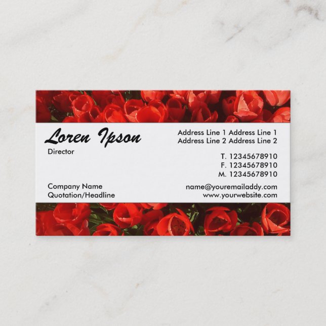 Cartão De Visita Banda central 034 - Tulipas (Frente)