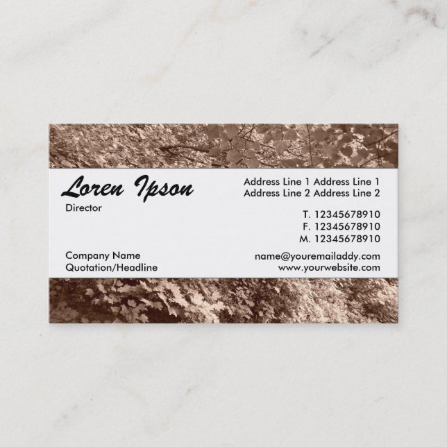 Cartão De Visita Banda central 036 - Árvores por um Canal (Frente)